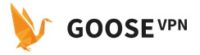 goose vpn logo